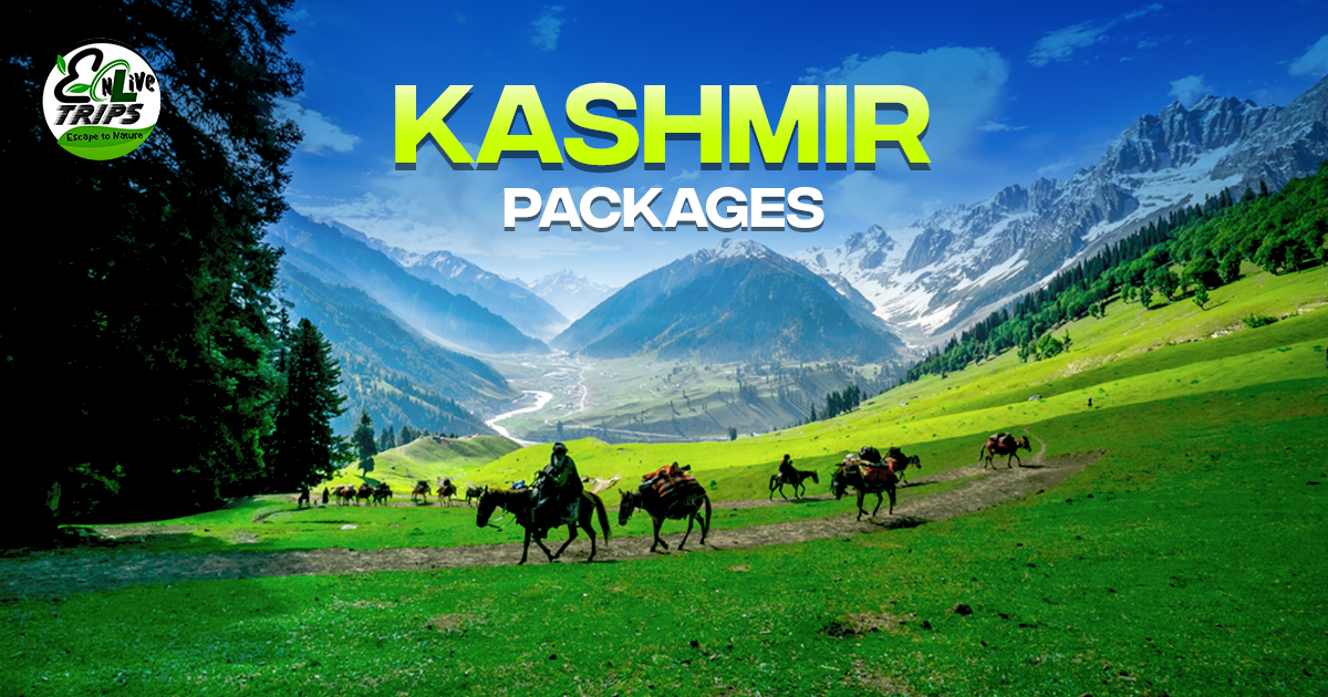Kashmir tour packages